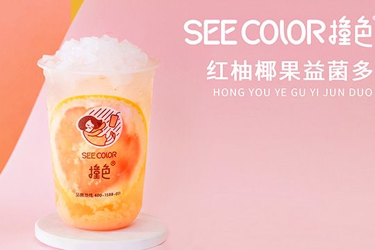 SEECOLOR撞色奶茶加盟